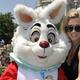 Pop singer Ke$ha poses with the White Rabbit at Disney World (Getty Images)
